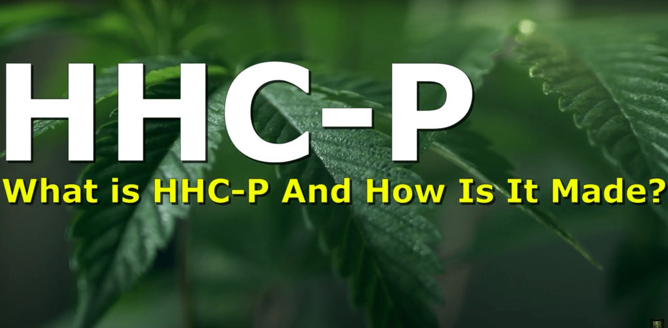 τι είναι το hhcp;
